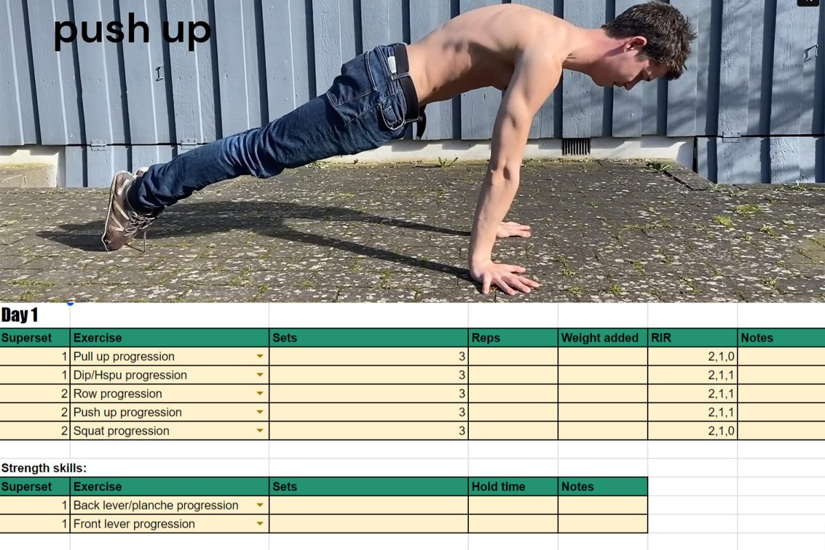 The Best Free Calisthenics Workout Program by PrimalFitness!